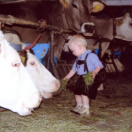 Ferienhof Rinnergut Hinterstoder Luaran gambar