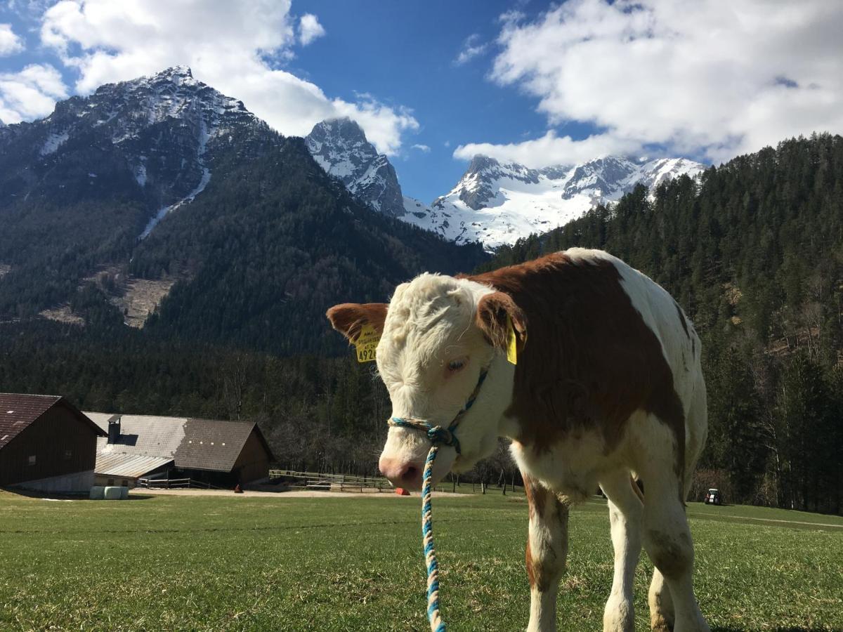 Ferienhof Rinnergut Hinterstoder Luaran gambar